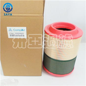 卅亞過(guò)濾 100009925 空氣濾芯