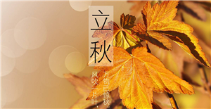 【立秋】來臨，卅亞和您共同迎接秋天的到來