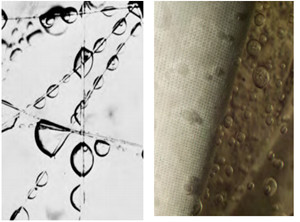 過(guò)濾系統(tǒng) QQ圖片20201216172637_副本